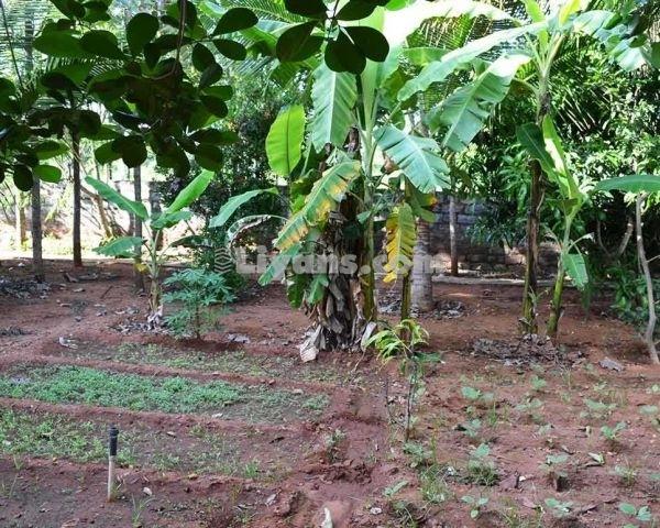 Holiday Valley Farmlands For Sale for Sale at Hosur Road, Bangalore